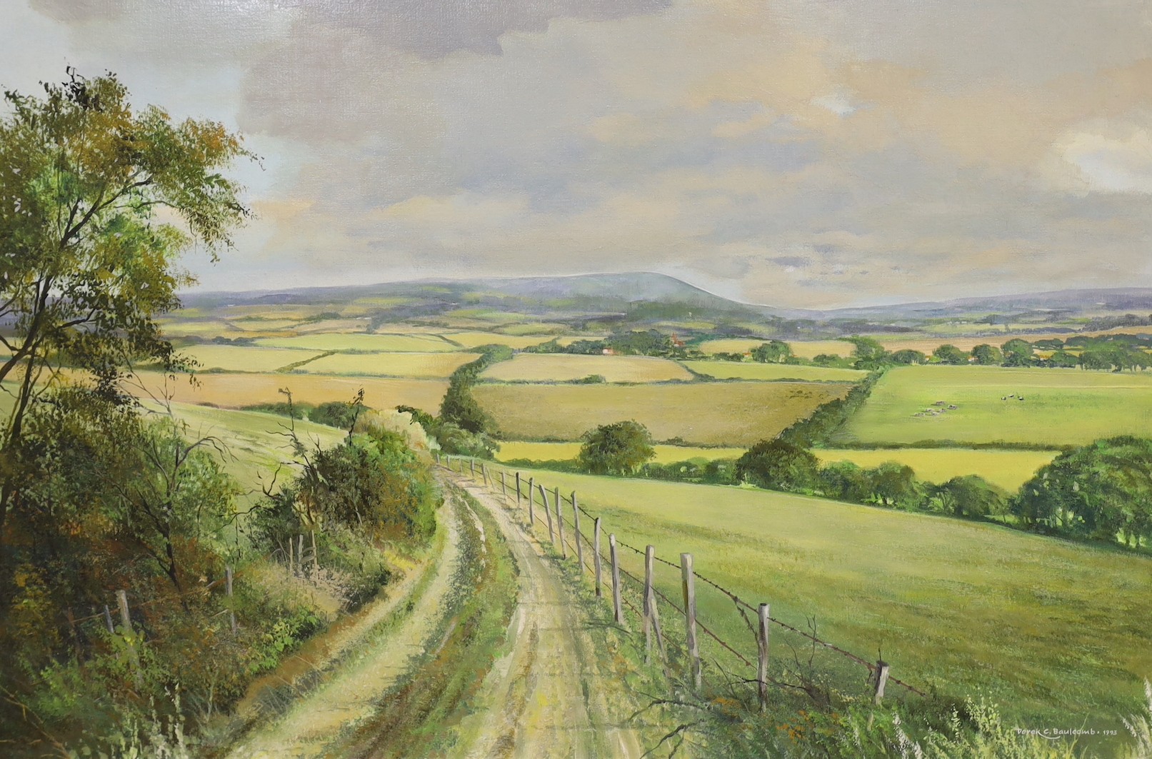 Derek C. Baulcomb (d.2020), oil on canvas, 'Wilmington', signed and dated 1993, 50 x 75cm
